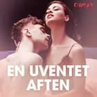 En uventet aften – erotiske noveller