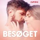 Besøget – erotiske noveller