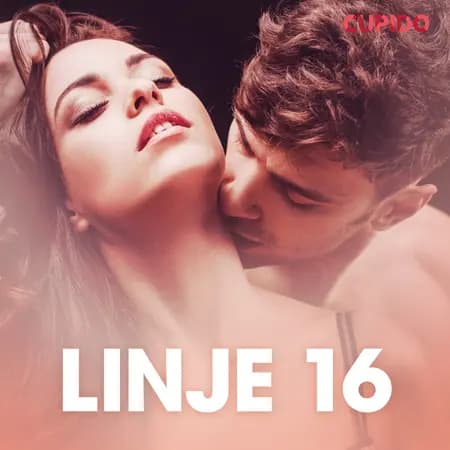 Linje 16 - erotisk novelle af Cupido