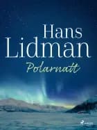 Polarnatt af Hans Lidman