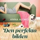 Den perfekta bilden af Anna Alemo