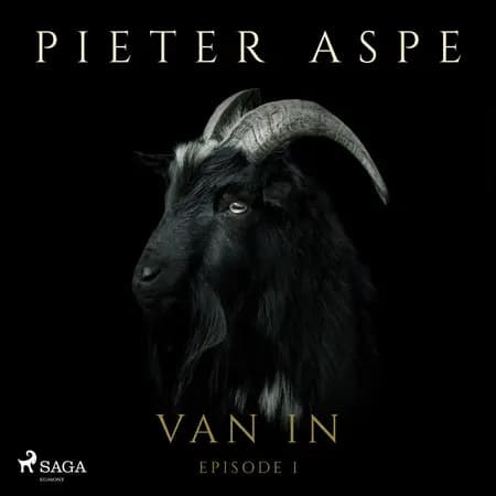 Van In af Pieter Aspe