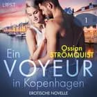 Ein Voyeur in Kopenhagen 1 - Erotische Novelle af Ossian Strömquist