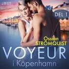 Voyeur i Köpenhamn del 1 - erotisk novell af Ossian Strömquist