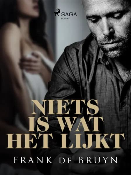 Niets is wat het lijkt af Frank de Bruyn