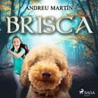 Brisca af Andreu Martín