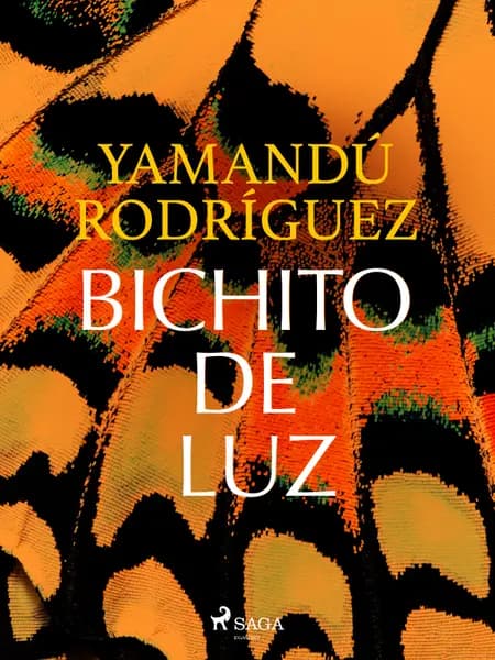 Bichito de luz af Yamandú Rodríguez