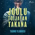 Joulu Toijalan takana