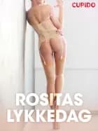 Rositas lykkedag - erotiske noveller