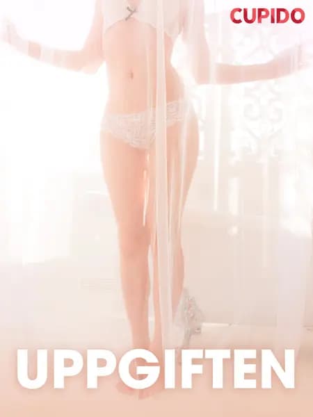Uppgiften - erotiska noveller af Cupido
