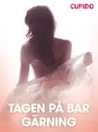 Tagen på bar gärning – erotiska noveller