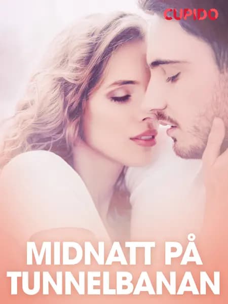 Midnatt på tunnelbanan - erotiska noveller af Cupido