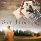 Som du och jag