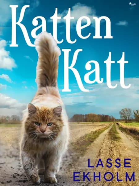 Katten Katt af Lasse Ekholm