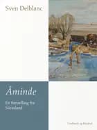 Åminde - en fortælling fra Sörmland af Sven Delblanc