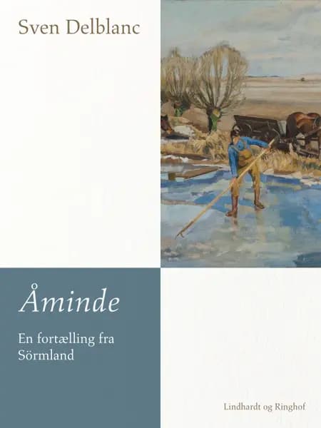 Åminde - en fortælling fra Sörmland af Sven Delblanc