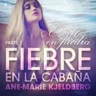 Fiebre en la cabaña, parte 1: Escrito en piedra