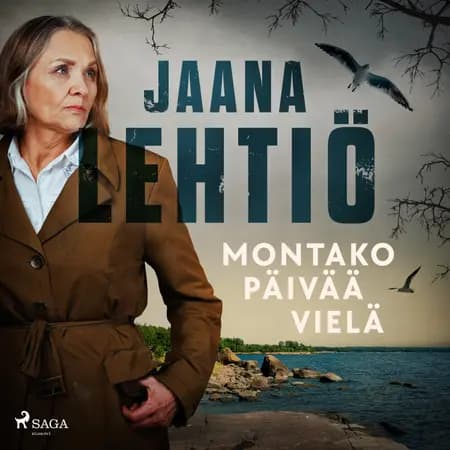 Montako päivää vielä af Jaana Lehtiö
