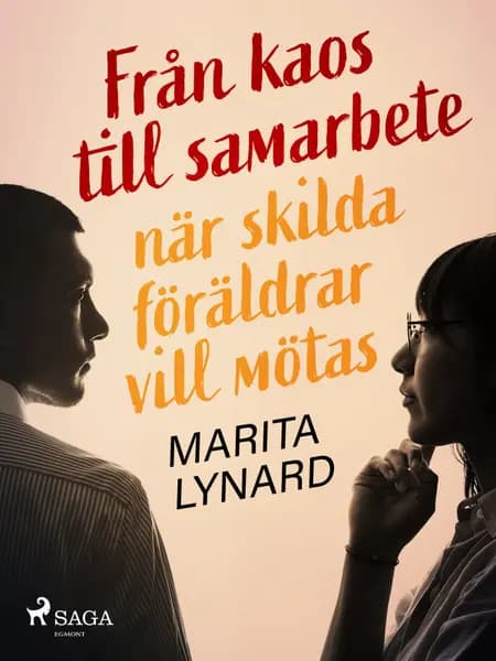 Från kaos till samarbete: när skilda föräldrar vill mötas af Marita Lynard