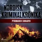 Pyromanen i Unnaryd 