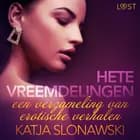 Hete vreemdelingen: een verzameling van erotische verhalen af Katja Slonawski