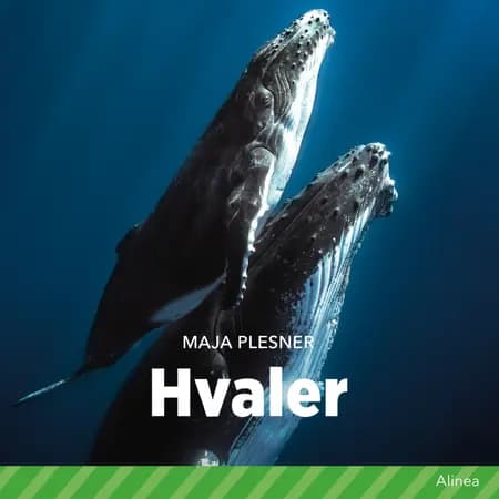 Hvaler af Maja Plesner