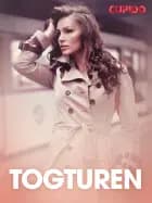 Togturen  - erotiske noveller