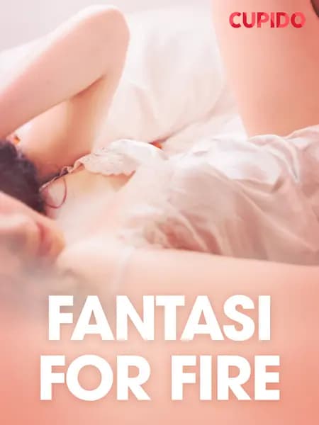 Fantasi for fire - erotiske noveller af Cupido