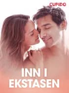 Inn i ekstasen - erotiske noveller
