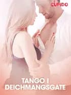 Tango i Deichmangsgate - erotiske noveller