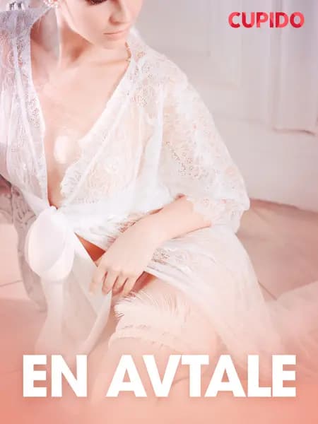 En avtale - erotiske noveller af Cupido