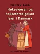 Heksevæsen og hekseforfølgelser især i Danmark af Vilhelm Bang