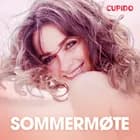 Sommermøte - erotiske noveller