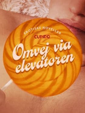 Omvej via elevatoren - erotiske noveller af Cupido