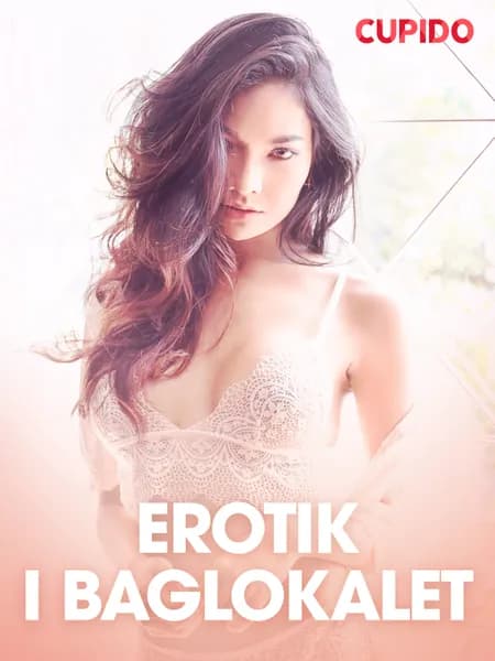 Erotik i baglokalet - erotisk novelle af Cupido