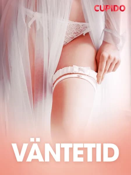 Väntetid - erotiska noveller af Cupido