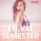 En våt semester - erotiska noveller