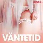 Väntetid - erotiska noveller