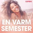 En varm semester - erotiska noveller af Cupido