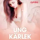 Ung kärlek - erotiska noveller