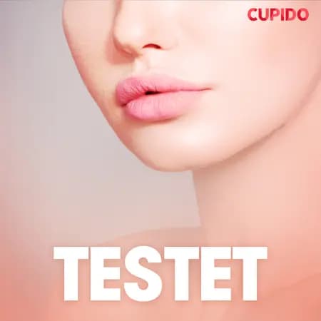 Testet - erotiska noveller af Cupido