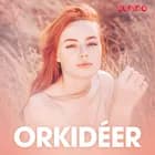 Orkidéer - erotiska noveller af Cupido