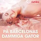På Barcelonas dammiga gator - erotiska noveller af Cupido