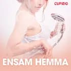 Ensam hemma - erotiska noveller