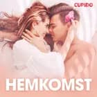 Hemkomst - erotiska noveller