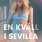 En kväll i Sevilla - erotiska noveller