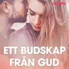 Ett budskap från Gud - erotiska noveller af Cupido