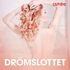 Drömslottet - erotiska noveller
