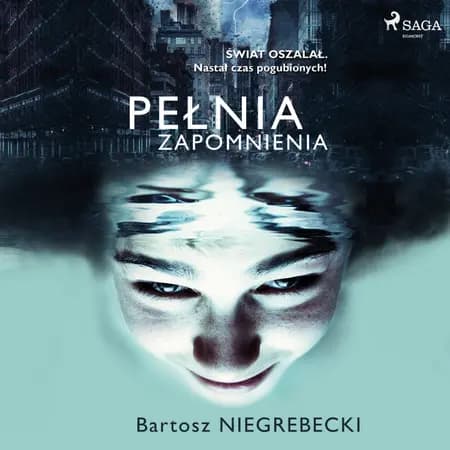 Pełnia zapomnienia af Bartosz Niegrebecki