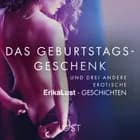 Das Geburtstagsgeschenk - und drei andere erotische Erika Lust-Geschichten af Andrea Hansen, Linda G og Olrik